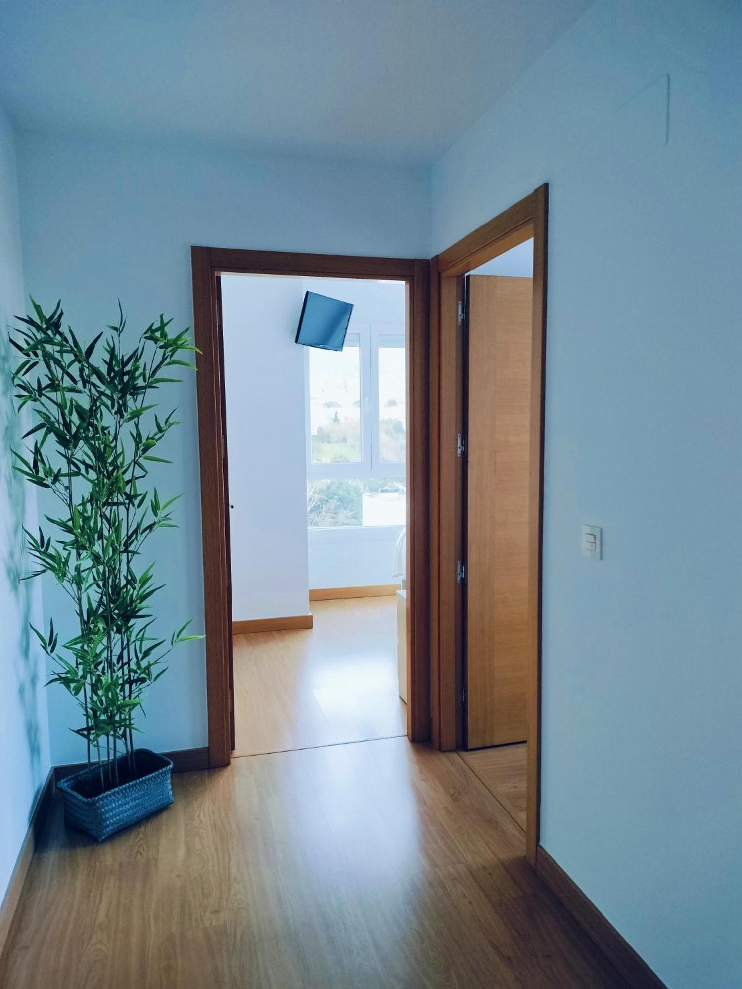 Apartamento Patxike Con Plaza De Garaje Apartment Bermeo Cameră foto